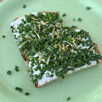 Brotscheibe mit Frischkäse, viel Schnittlauch und Zitronensalz auf einem grünen Teller