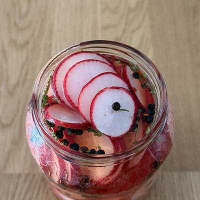 Glas mit eingelegten Radieschenscheiben und Pfefferkörnern
