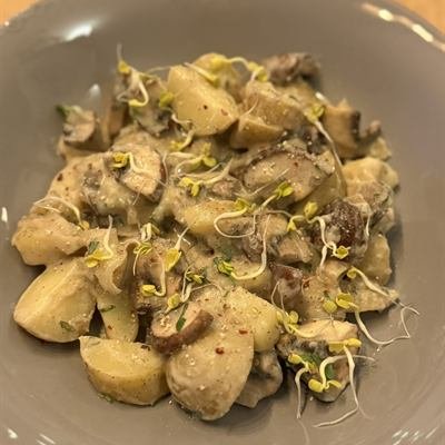 Kartoffeln mit Champignons in heller Soße und Sprossen