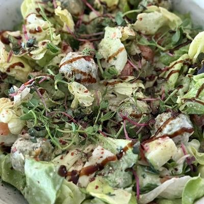 Blattsalat mit Ricotta-Spinat-Knödeln, Sprossen und Balsamico